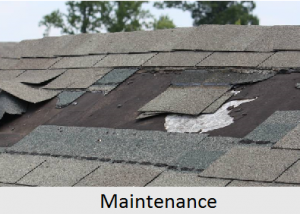 Maintenance